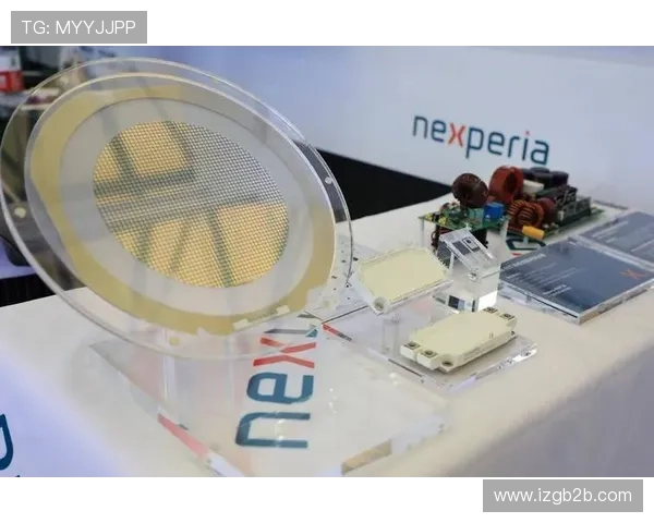 荷兰安世不向中国发货晶圆 欧洲汽车厂商哭诉我们快被掐断气了