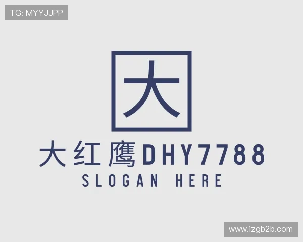 了解大红鹰dhy7788