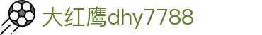 大红鹰dhy7788(中国)有限公司